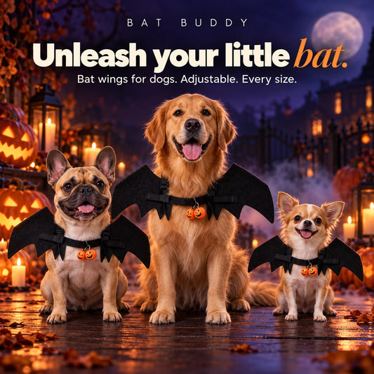 BatBuddy costume