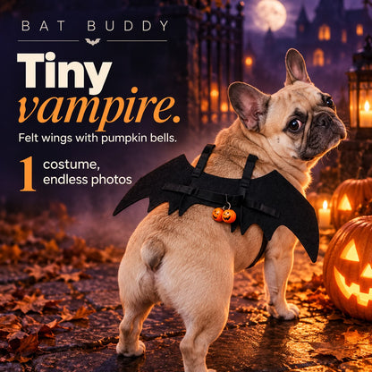 BatBuddy costume