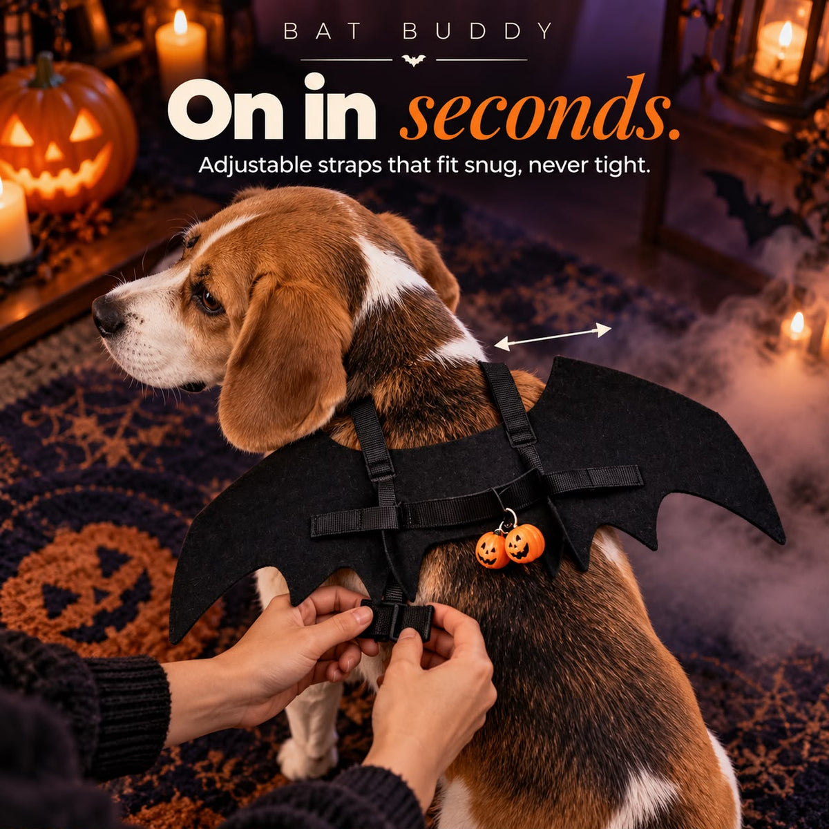 BatBuddy costume