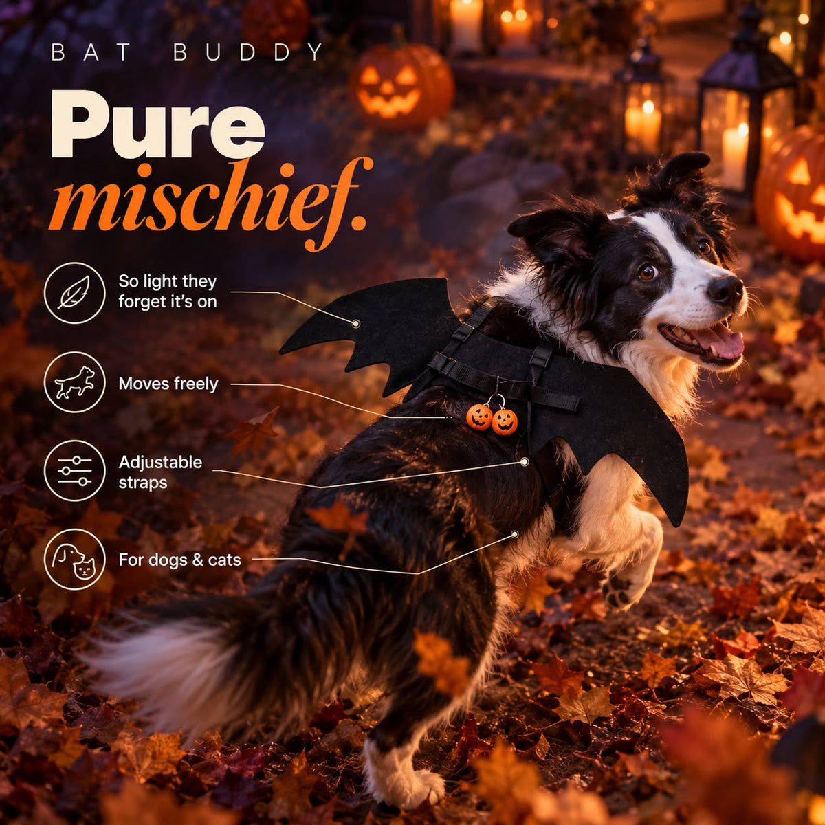 BatBuddy costume